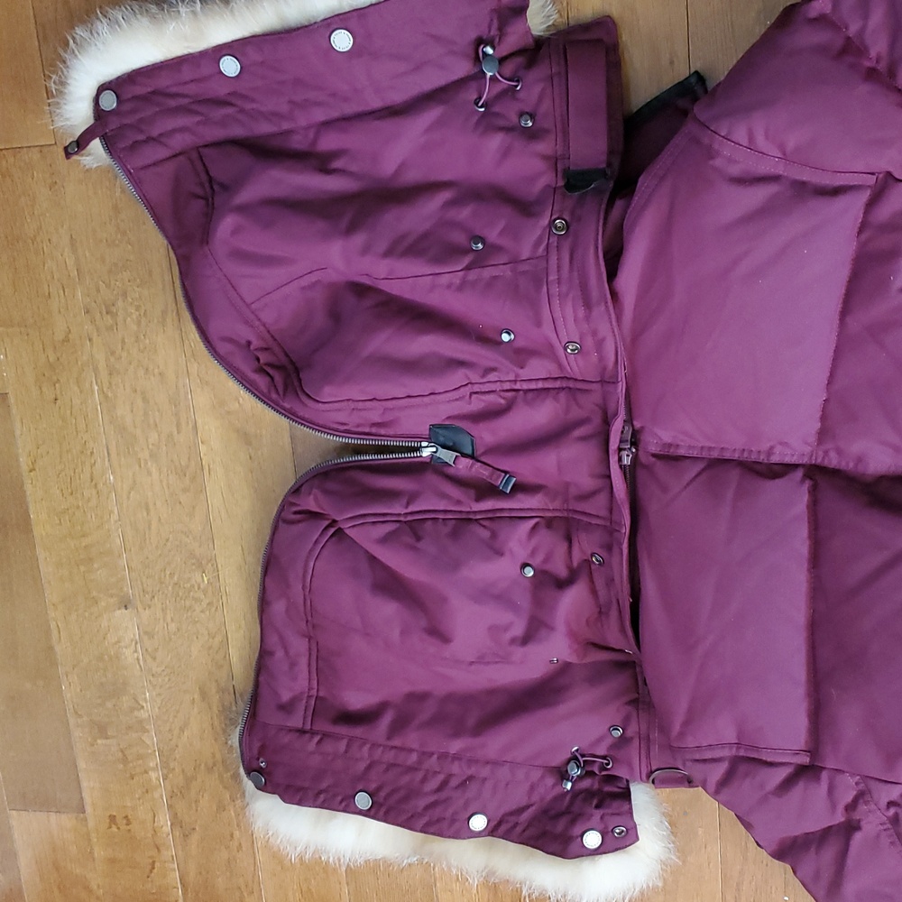 Pajar. Flash $ - Picture 10 of 17